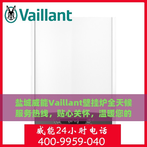 盐城威能Vaillant壁挂炉全天候服务热线，贴心关怀，温暖您的每一刻