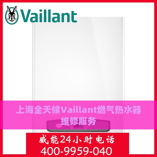 上海全天候Vaillant燃气热水器维修服务