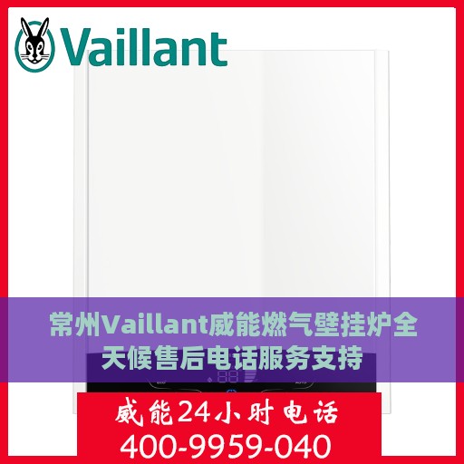 常州Vaillant威能燃气壁挂炉全天候售后电话服务支持