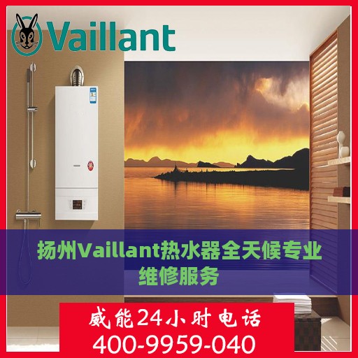 扬州Vaillant热水器全天候专业维修服务