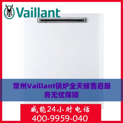 常州Vaillant锅炉全天候售后服务无忧保障