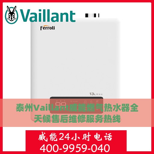 泰州Vaillant威能燃气热水器全天候售后维修服务热线