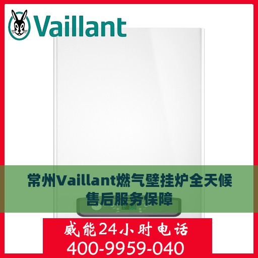 常州Vaillant燃气壁挂炉全天候售后服务保障