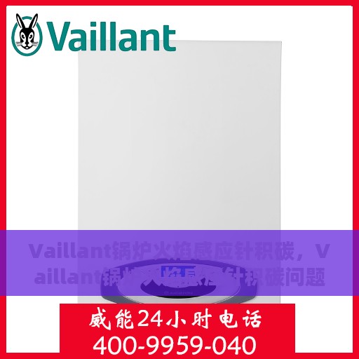 Vaillant锅炉火焰感应针积碳，Vaillant锅炉火焰感应针积碳问题解析与处理方法