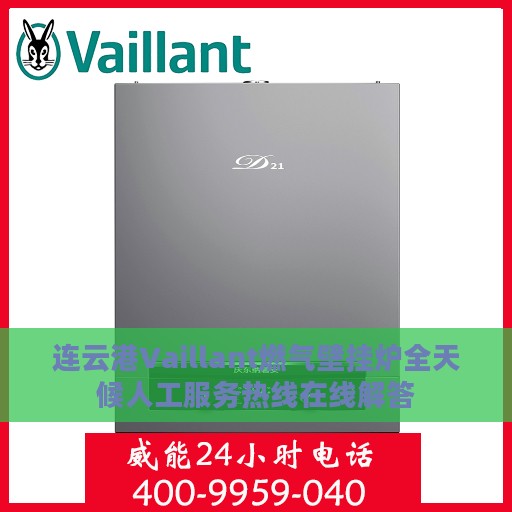 连云港Vaillant燃气壁挂炉全天候人工服务热线在线解答