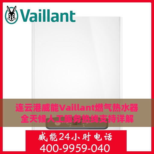 连云港威能Vaillant燃气热水器全天候人工服务热线支持详解