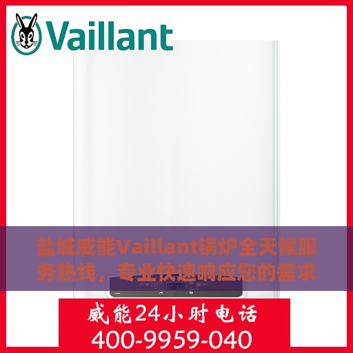 盐城威能Vaillant锅炉全天候服务热线，专业快速响应您的需求！