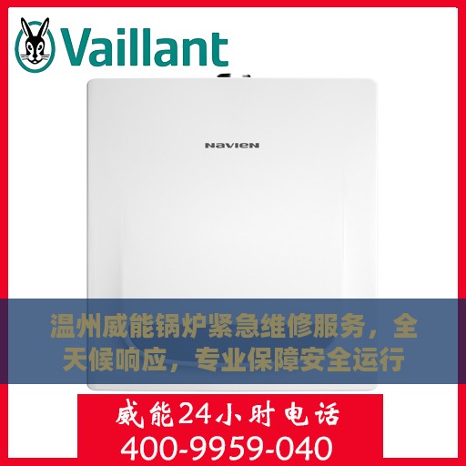 温州威能锅炉紧急维修服务，全天候响应，专业保障安全运行