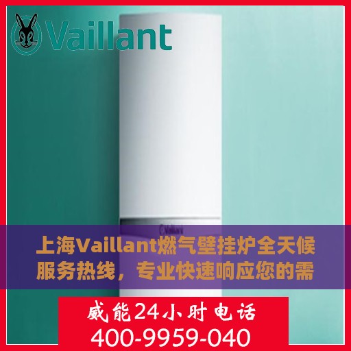 上海Vaillant燃气壁挂炉全天候服务热线，专业快速响应您的需求