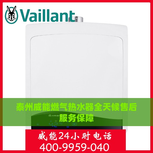 泰州威能燃气热水器全天候售后服务保障