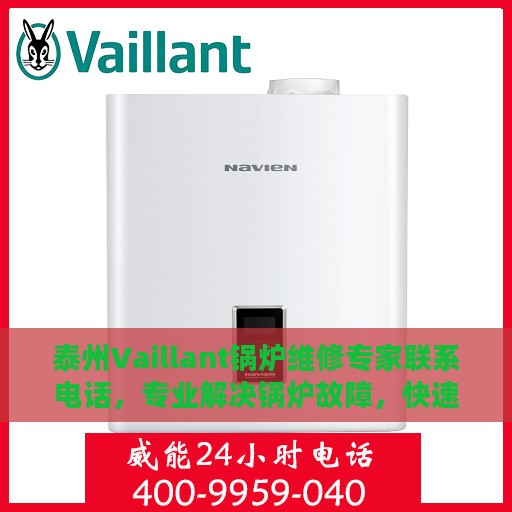 泰州Vaillant锅炉维修专家联系电话，专业解决锅炉故障，快速响应维修需求