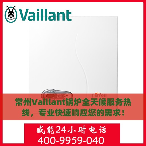 常州Vaillant锅炉全天候服务热线，专业快速响应您的需求！
