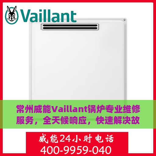 常州威能Vaillant锅炉专业维修服务，全天候响应，快速解决故障