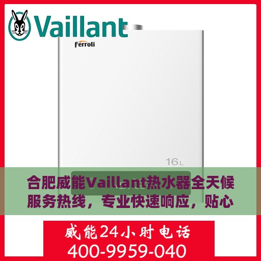 合肥威能Vaillant热水器全天候服务热线，专业快速响应，贴心无忧保障