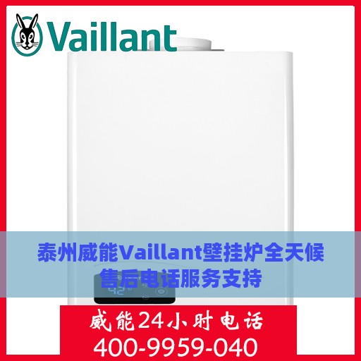 泰州威能Vaillant壁挂炉全天候售后电话服务支持
