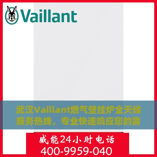 武汉Vaillant燃气壁挂炉全天候服务热线，专业快速响应您的需求！