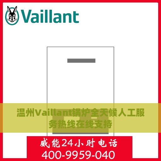 温州Vaillant锅炉全天候人工服务热线在线支持
