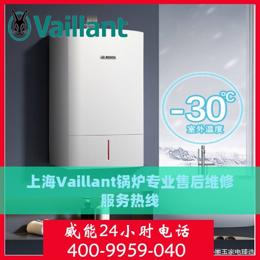 上海Vaillant锅炉专业售后维修服务热线