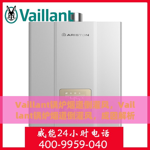 Vaillant锅炉烟道倒灌风，Vaillant锅炉烟道倒灌风，成因解析与应对之策
