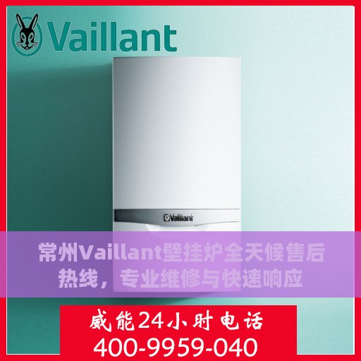 常州Vaillant壁挂炉全天候售后热线，专业维修与快速响应
