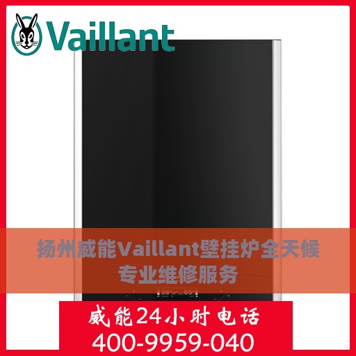 扬州威能Vaillant壁挂炉全天候专业维修服务