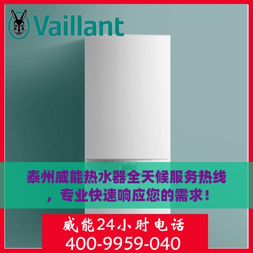 泰州威能热水器全天候服务热线，专业快速响应您的需求！