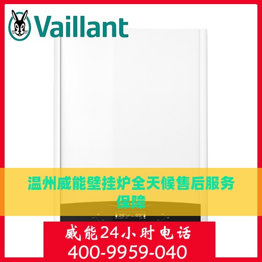 温州威能壁挂炉全天候售后服务保障