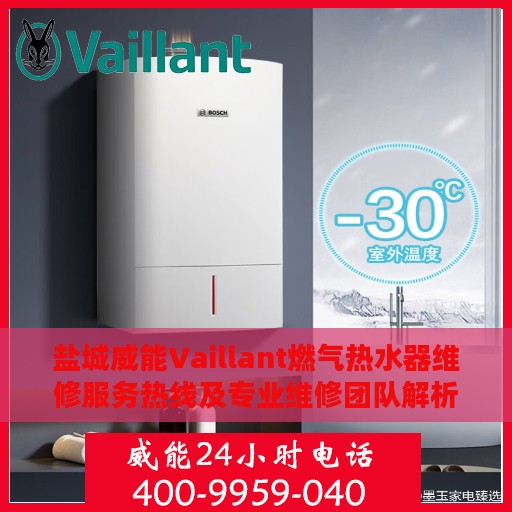 盐城威能Vaillant燃气热水器维修服务热线及专业维修团队解析