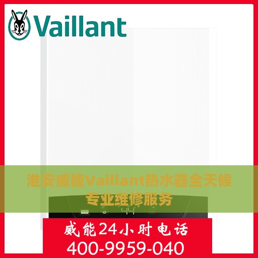 淮安威能Vaillant热水器全天候专业维修服务
