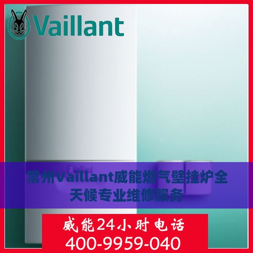常州Vaillant威能燃气壁挂炉全天候专业维修服务