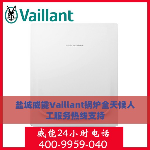 盐城威能Vaillant锅炉全天候人工服务热线支持
