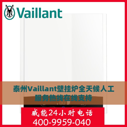 泰州Vaillant壁挂炉全天候人工服务热线在线支持