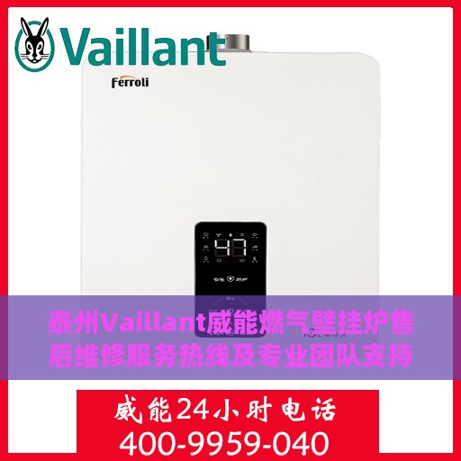 泰州Vaillant威能燃气壁挂炉售后维修服务热线及专业团队支持