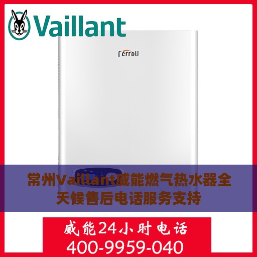 常州Vaillant威能燃气热水器全天候售后电话服务支持