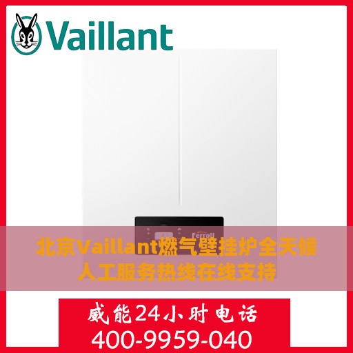 北京Vaillant燃气壁挂炉全天候人工服务热线在线支持
