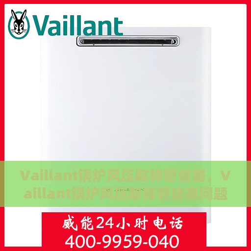 Vaillant锅炉风压取样管堵塞，Vaillant锅炉风压取样管堵塞问题解析与解决方案