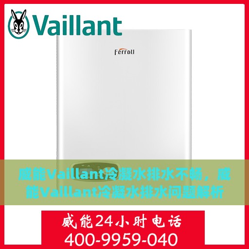 威能Vaillant冷凝水排水不畅，威能Vaillant冷凝水排水问题解析，成因与解决方案