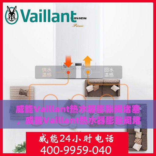 威能Vaillant热水器膨胀阀堵塞，威能Vaillant热水器膨胀阀堵塞问题及解决方案