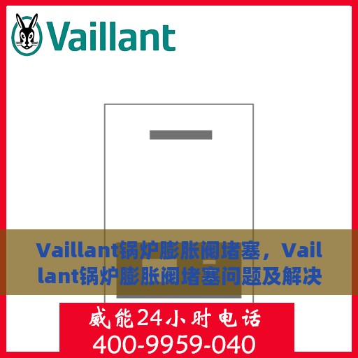 Vaillant锅炉膨胀阀堵塞，Vaillant锅炉膨胀阀堵塞问题及解决策略