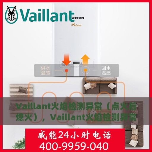 Vaillant火焰检测异常（点火后熄火），Vaillant火焰检测异常，点火后熄火问题解析