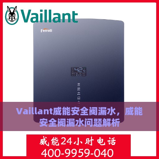 Vaillant威能安全阀漏水，威能安全阀漏水问题解析