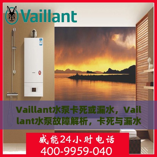 Vaillant水泵卡死或漏水，Vaillant水泵故障解析，卡死与漏水问题探究