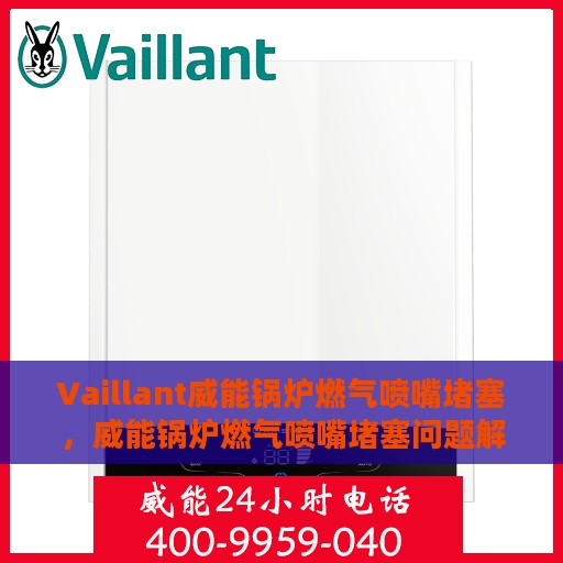 Vaillant威能锅炉燃气喷嘴堵塞，威能锅炉燃气喷嘴堵塞问题解析与处理指南