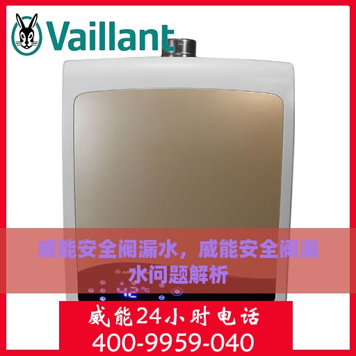 威能安全阀漏水，威能安全阀漏水问题解析