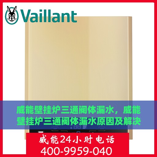 威能壁挂炉三通阀体漏水，威能壁挂炉三通阀体漏水原因及解决方法探讨