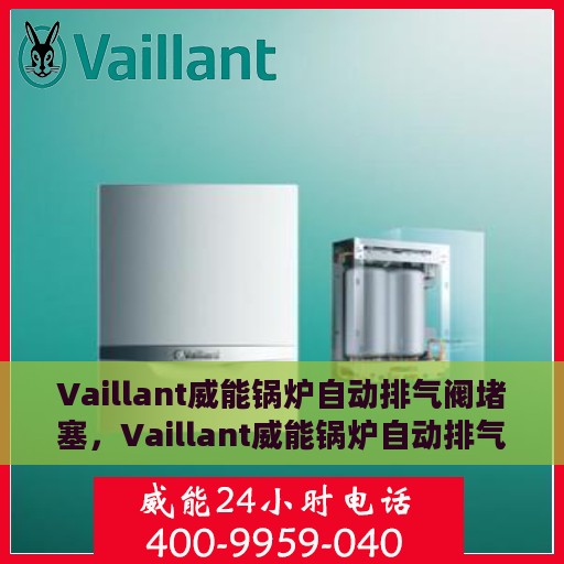 Vaillant威能锅炉自动排气阀堵塞，Vaillant威能锅炉自动排气阀堵塞问题解析与处理