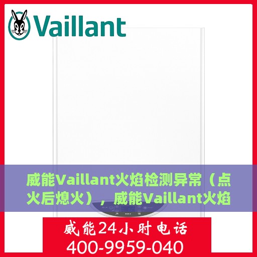威能Vaillant火焰检测异常（点火后熄火），威能Vaillant火焰检测异常，点火后意外熄火故障解析
