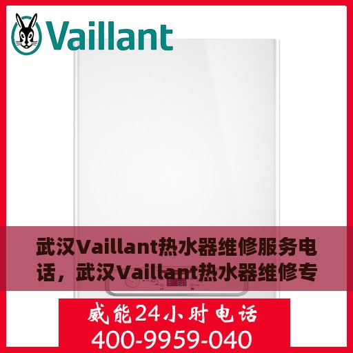 武汉Vaillant热水器维修服务电话，武汉Vaillant热水器维修专线，专业快速解决您的热水器问题
