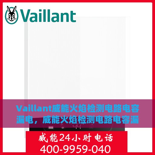 Vaillant威能火焰检测电路电容漏电，威能火焰检测电路电容漏电解析与解决方案