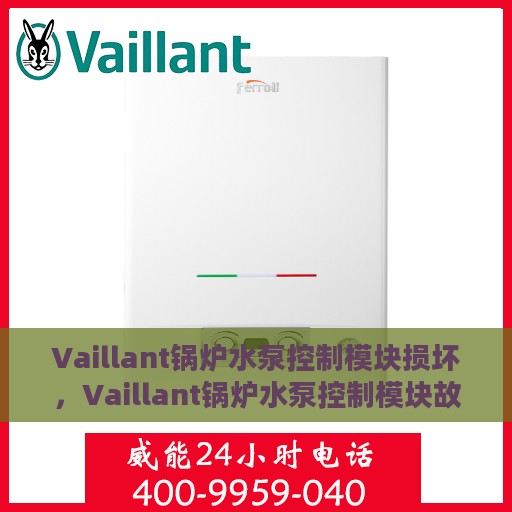 Vaillant锅炉水泵控制模块损坏，Vaillant锅炉水泵控制模块故障解析与修复指南
